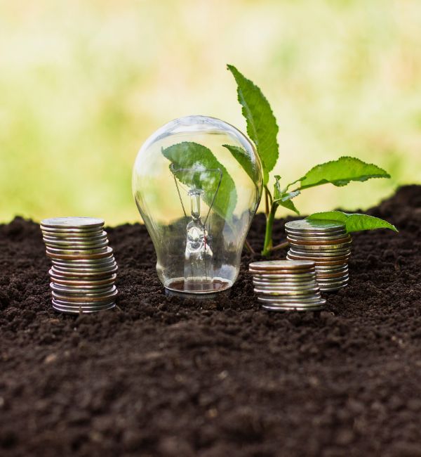 Ecoinversión: Oportunidades de Inversión Sostenible en Gijón